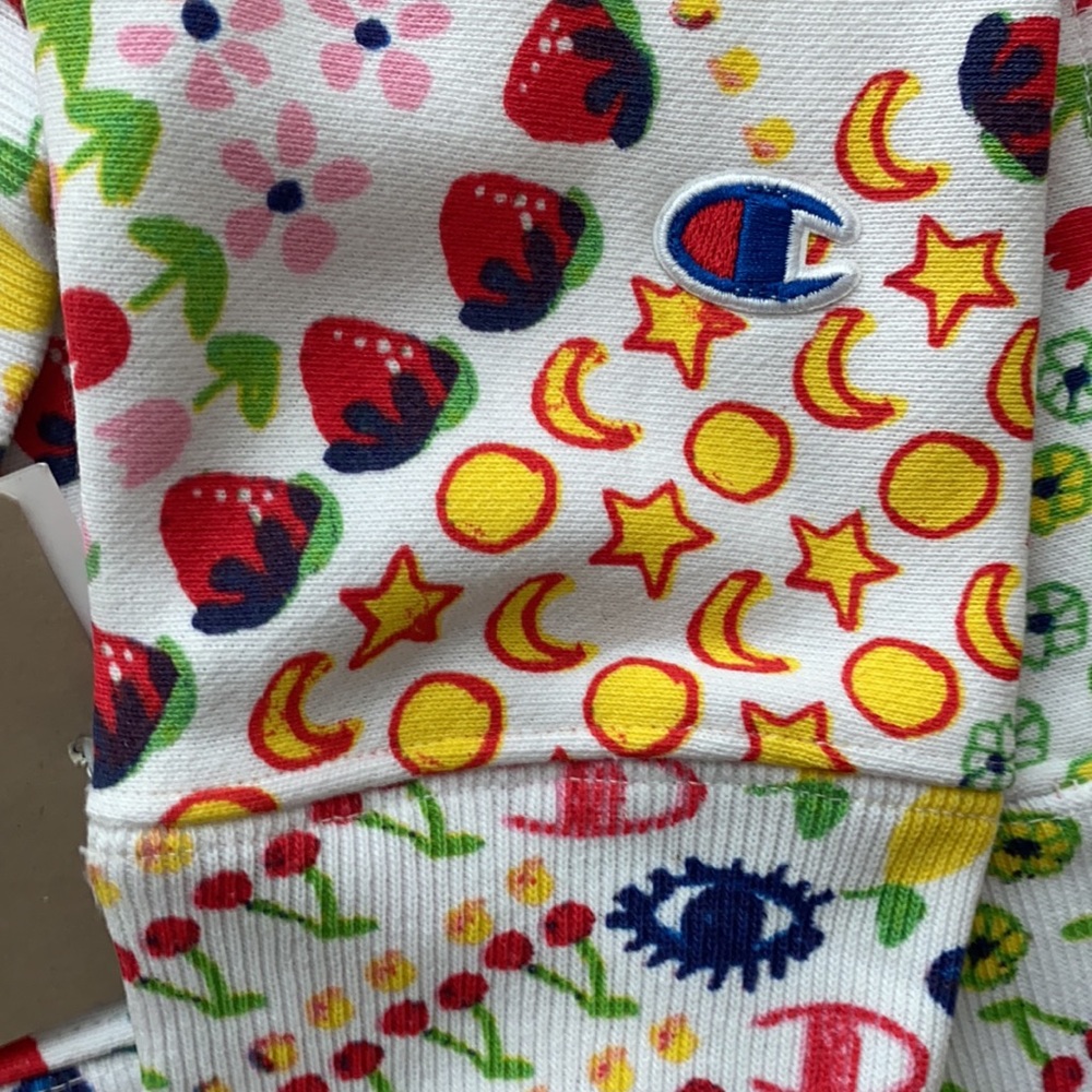 Champion X Susan Alexandra UO Exclusive Crewneck - Picture 4 of 13